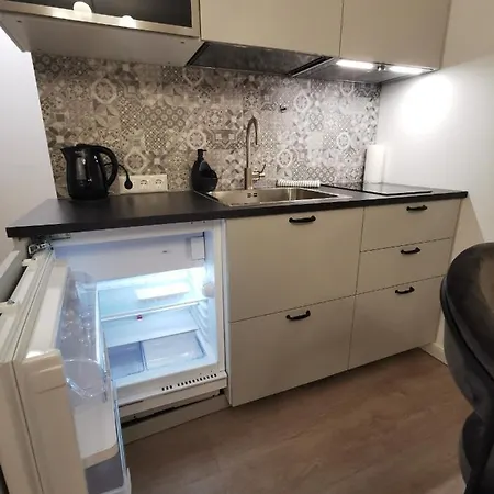 Apartment Studijos Tipo Butas Netoli Juros - Vanagupes G Palanga