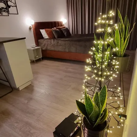 Studijos Tipo Butas Netoli Juros - Vanagupes G * Palanga